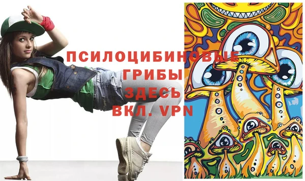 тгк Горно-Алтайск
