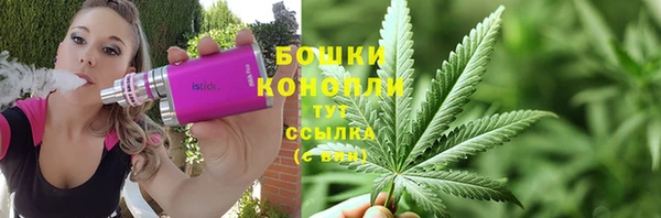 тгк Горно-Алтайск