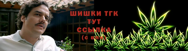 тгк Горно-Алтайск