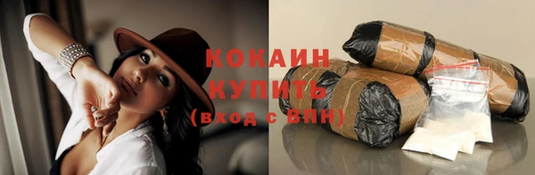 a pvp Горняк