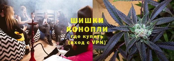 мдпв Горнозаводск