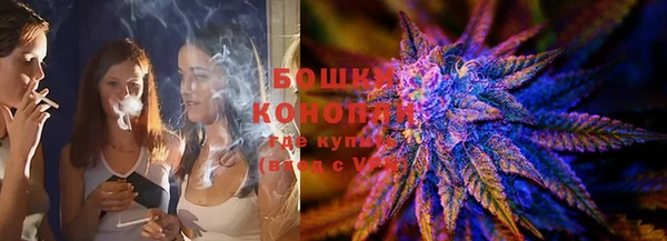 тгк Горно-Алтайск