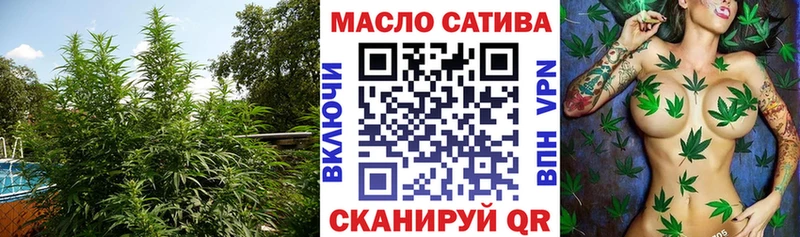 Купить закладки  Камызяк  ТГК вейп 