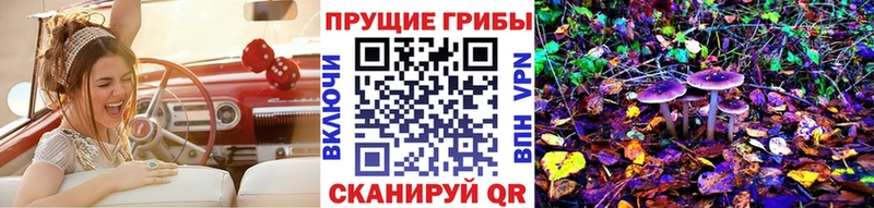 Псилоцибиновые грибы Cubensis  Купить где  Камызяк 